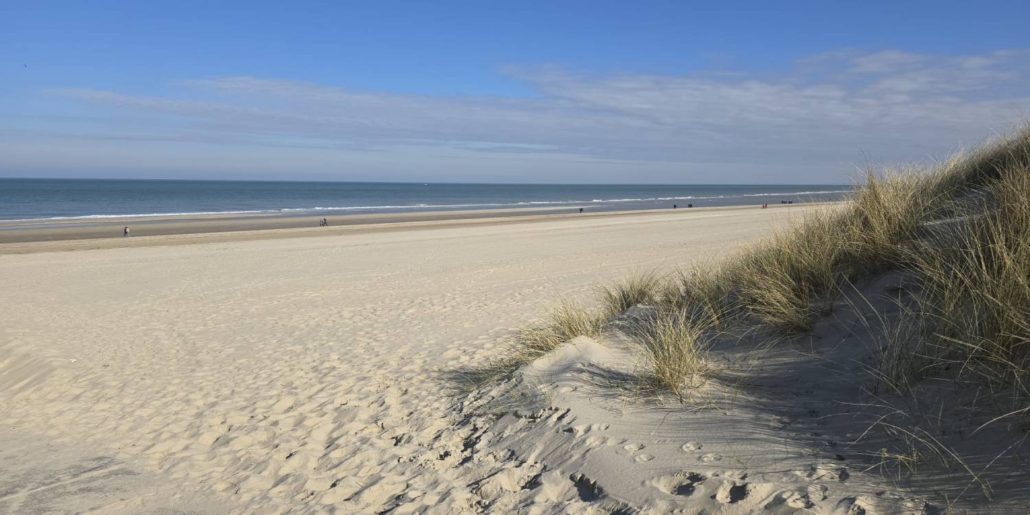 beach4-cropped ttttt